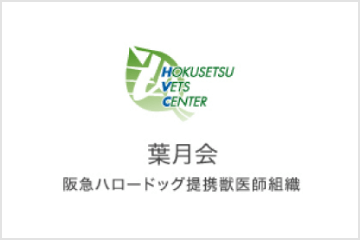 葉月会