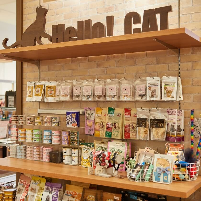 キャットブティック