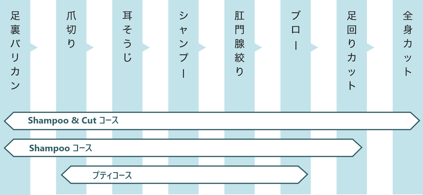 ドッグビューティーサロンのトリミングコース