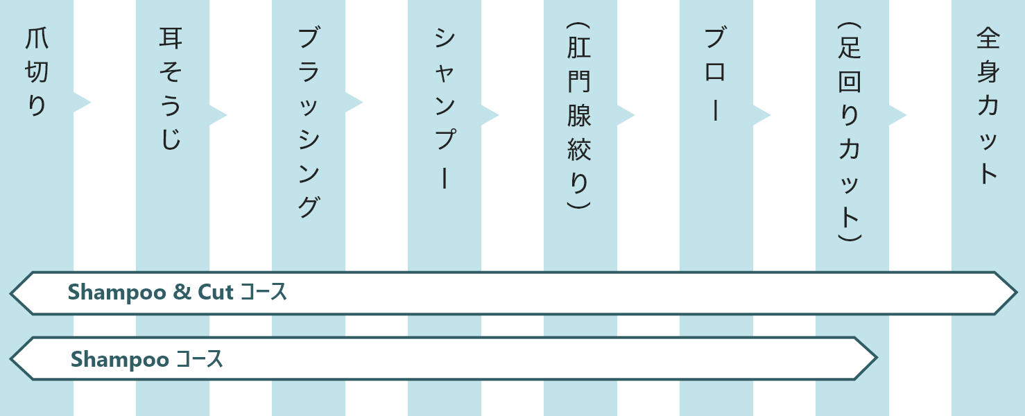 キャットビューティーサロンのトリミングコース