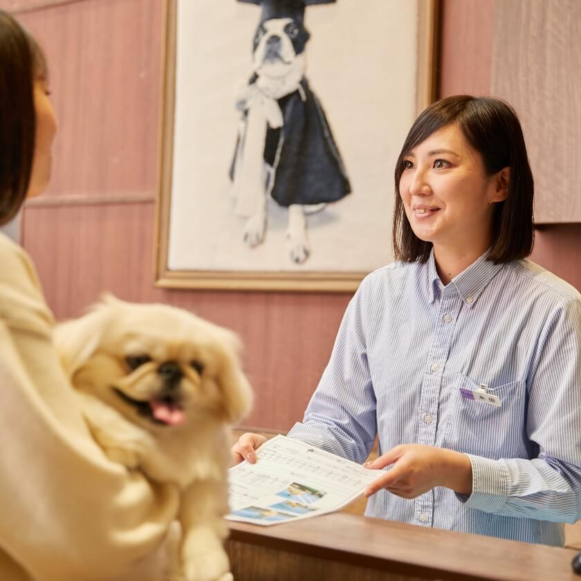 ドッグホテル