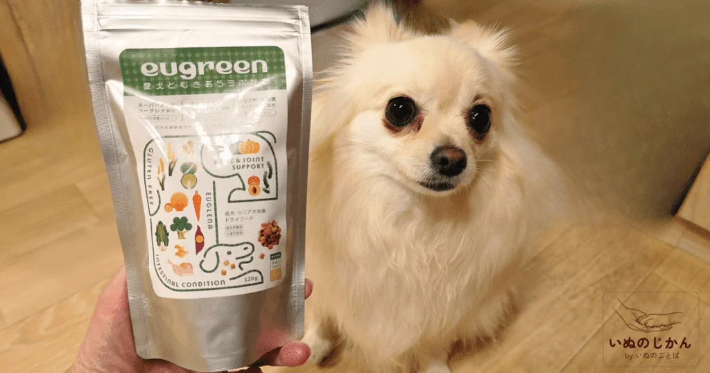 いぬのじかん byいぬのことば