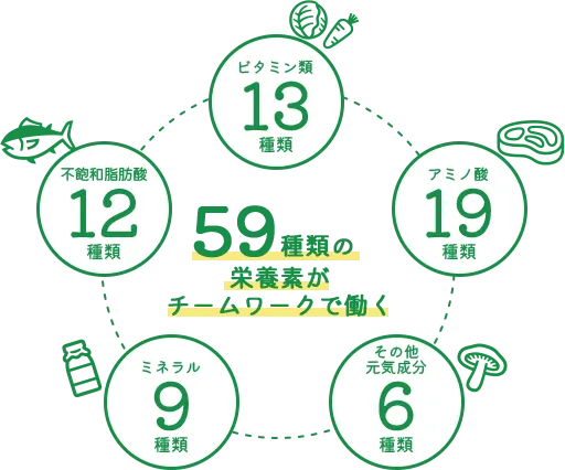59種類の栄養素がチームワークで働く
